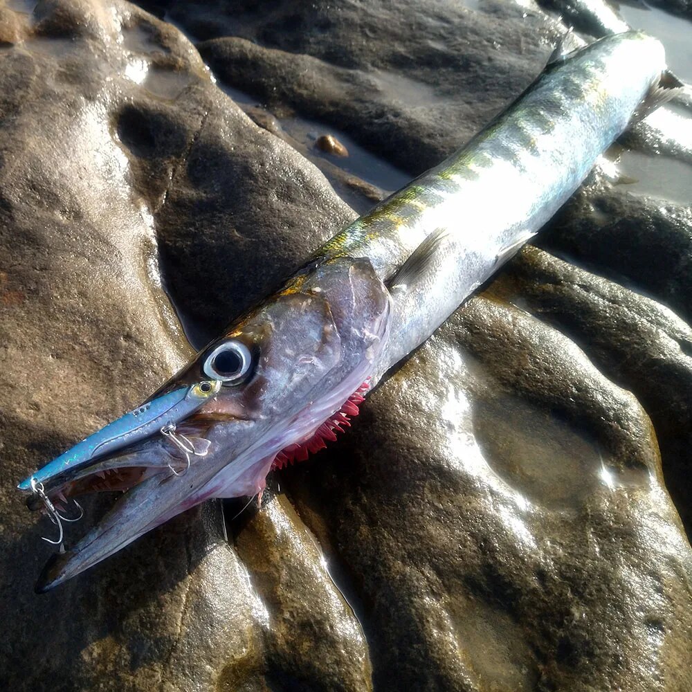 GOBAIT VIB umpan pancing 20g 2 - Fishing Lure Blade Bait ulasan dan harga